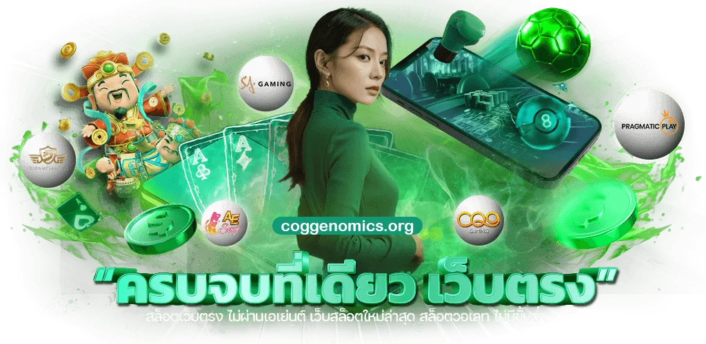 สมัครbingog2g